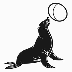 Seal balancing ring on nose silhouette