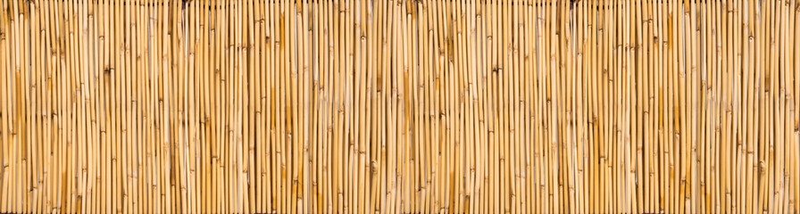 Small bamboo branches arranged vertically in parallel, forming a wall. Background image in panoramic format.
