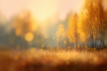 Blurred autumn nature landscape background, serene autumn meadow with birch trees and falling leaves in soft golden sunlight