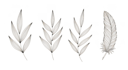 Shimmering foliage and feather on black