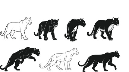 Panther rendering progression — eight stylized illustrations showing artistic development from line drawing to shaded, textured, and posed variations