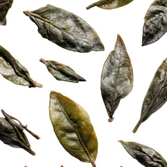 Jasmine tea leaves [Transparent Background PNG].