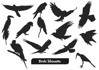 Collection of diverse bird silhouettes in various poses