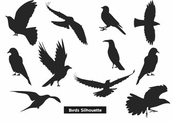 Collection of diverse bird silhouettes in various poses