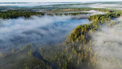 Morning fog blankets Canyon Lake at Julma Olkky, revealing the lush green landscape of Hossa National Park in Finland. This serene scene invites tranquility and exploration in nature.