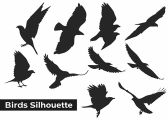 Collection of black bird silhouettes in flight on white background