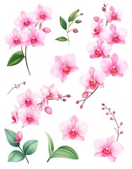 Pink orchid floral design