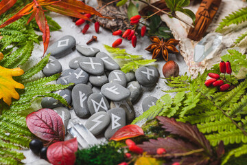 Runes on stones among autumn leaves