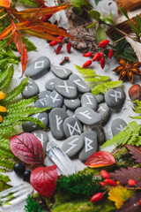 Runes on stones among autumn leaves
