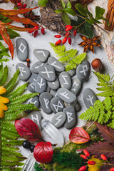 Runes on stones among autumn leaves