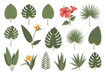 Fototapeta premium Collection of various tropical leaves and exotic flowers for botanical illustration and design.