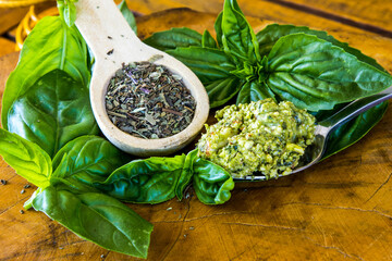 Teaspoon of dried Basil and homemade Basil pesto, surrounded by fresh Basil leaves