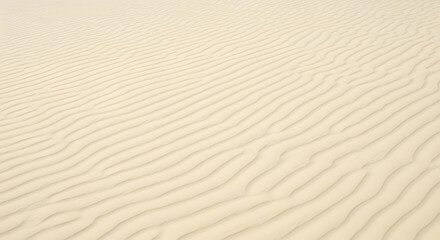 Obraz premium Close-up view of rippled, light beige sand dunes.