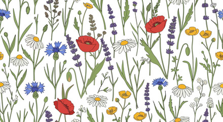 A seamless pattern of hand-drawn wildflowers including red poppies, purple lavender, white daisies, and blue cornflowers on a white background.