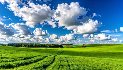 Naklejka premium Lush green fields under bright blue sky with fluffy clouds—tire tracks and distant treeline evoke openness, tranquility, and cultivated harmony in minimalist pastoral landscape composition.