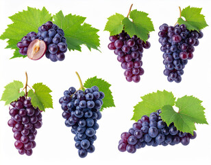Set of fresh grapes on transparent background