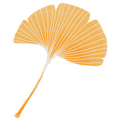 Golden Ginkgo Leaves Autumn Botanical Illustration