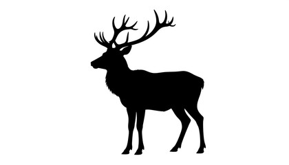 Fototapeta premium Silhouette of a deer