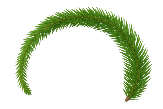 Green fir tree branch forming a decorative arc, symbolizing christmas and winter holidays, transparent background - Powered by Adobe
