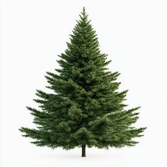 Fototapeta premium A Christmas tree decoration christmas pine.