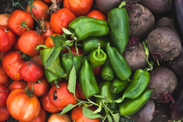 Freshly Harvested Vibrant Vegetables Juicy Tomatoes and Crunchy Peppers from the Farm
