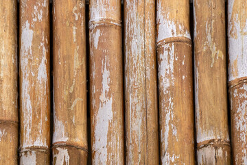 Closeup of a weathered brown bamboo wall or fence. Natural, dry bamboo poles create a rustic and oriental background texture