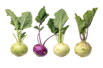 Kohlrabi Growing Guide For Beginners