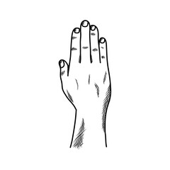 Sketch of a hand with fingers extended, palm facing forward.