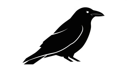 Obraz premium A black raven, a symbol of mystery and intelligence, with sleek feathers and piercing eyes, a powerful and enigmatic bird