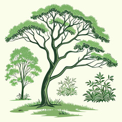 Vector set of Top view green tree for outdoor plan or map and architecture drawing, elements for environment and garden ,botanical elements ,Blooming flowers in spring,tropical plants element