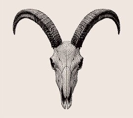 Pixel goat skull with long curved horns. Perfect for gothic art, apparel graphics, western branding, and boho decor.