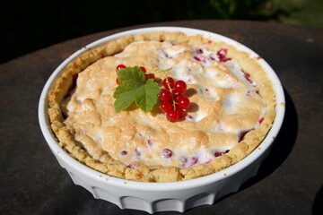 Homemade red currant cake with fresh berries on top 