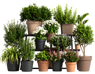 A vibrant display of various potted plants arranged artistically on shelves showcasing greenery and blooms.