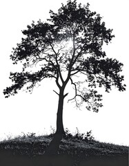 Silhouette of a solitary tree on a hill