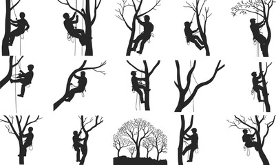 Arborist climbing tree silhouettes set, tree care worker icons, forestry service vector, tree trimming professionals, safety gear, rope system, outdoor job, isolated on white background