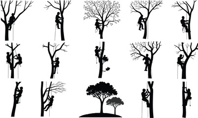 Arborist climbing tree silhouettes set, tree care worker icons, forestry service vector, tree trimming professionals, safety gear, rope system, outdoor job, isolated on white background
