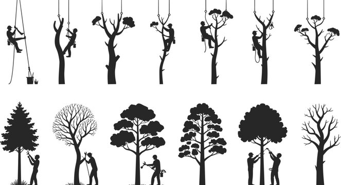 Arborist climbing tree silhouettes set, tree trimming and pruning, professional tree care, forestry worker, rope system, outdoor job, vector illustration, isolated on white background