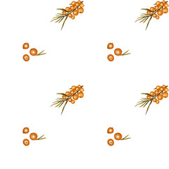 Sea Buckthorn Fruit Seamless Texture