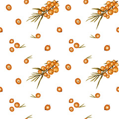 Sea Buckthorn Fruit Seamless Texture