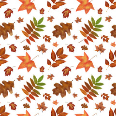 Seamless Pattern with Autumn Leaves