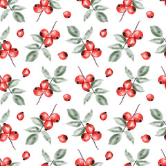 Seamless Rosehip Berries illustration Pattern 