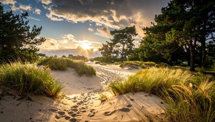 A sun-drenched path leads through sand dunes toward a glowing horizon. Lush greenery and towering trees frame the golden light