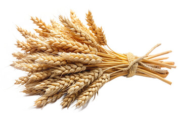 Isolated bundle of golden wheat stalks tied together with natural twine rustic harvest texture isolated on transparent background