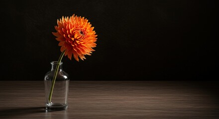 Orange dahlia in a clear vase on a wooden surface top