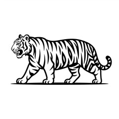 Fototapeta premium Striking Black and White Illustration of a Majestic Tiger on the Prowl Depicting Power and Grace