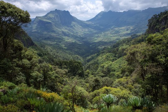 Exploring Mount Elgon National Park: A Biodiverse African Paradise for Adventure Seekers and Wildlife Enthusiasts