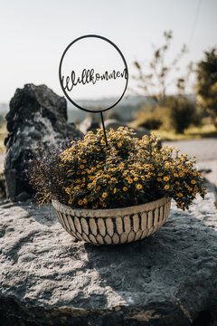 Welcome Willkommen sign in a nice flower pot on a rock