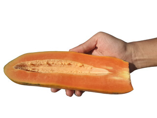 Holding a papaya in hand, isolated on PNG background.