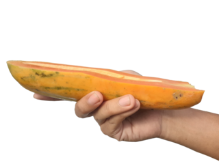 Holding a papaya in hand, isolated on PNG background.
