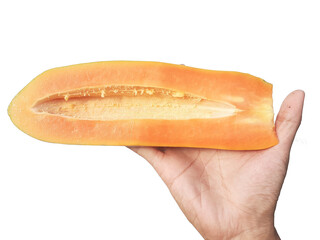 Holding a papaya in hand, isolated on PNG background.